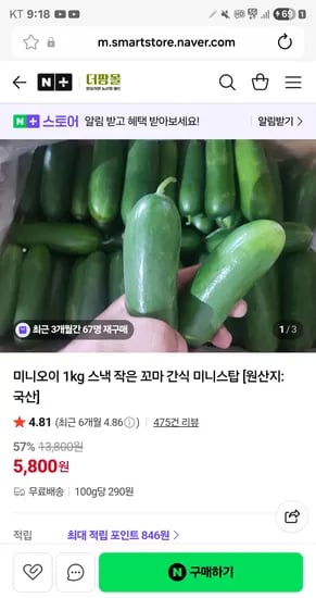 더팜몰 미니오이 1kg 5,800원