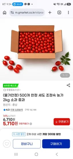 세도 조정숙 농가 방울토마토 소과, 중과 2kg