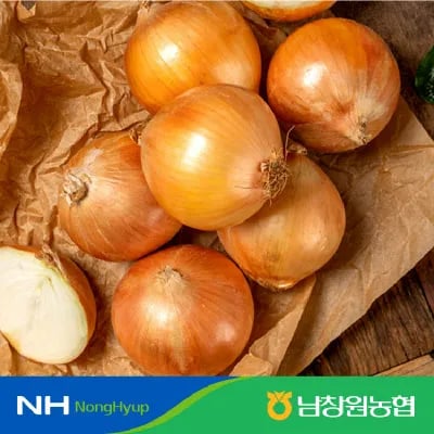 남창원농협 경남 햇양파 특사이즈 5kg 5900원 무배