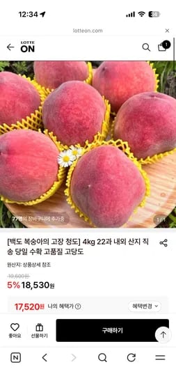 백도 복숭아 4kg 22과 17,980원