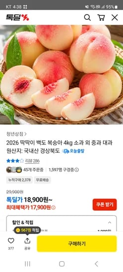 2026 딱딱이 백도 복숭아 4kg 소과