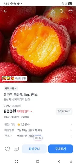 꿀자두 특상품 1kg 800원