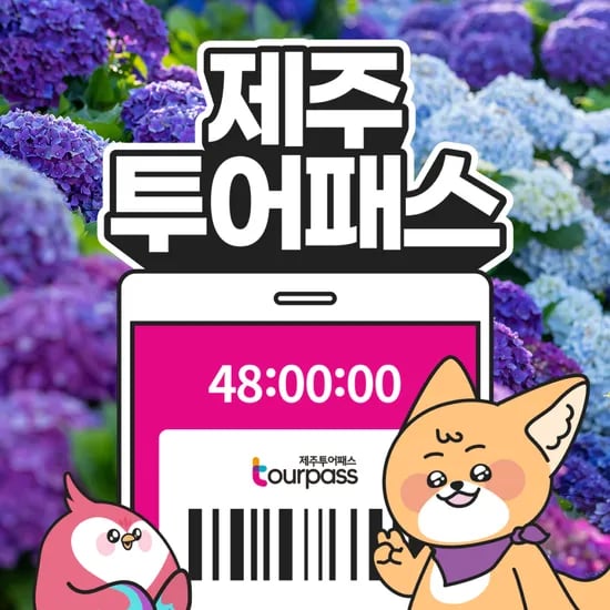 제주투어패스 타임제로 17,900원~