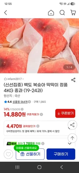 백도 복숭아 딱딱이 4KG 중과 (19-24과) 14880원