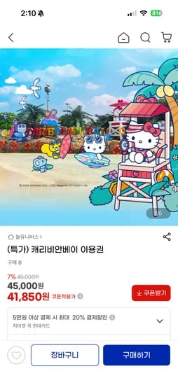 캐리비안베이 이용권 41,850원