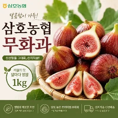 삼호농협 영암 무화과 1kg(500g+500g) 18,120원 무배