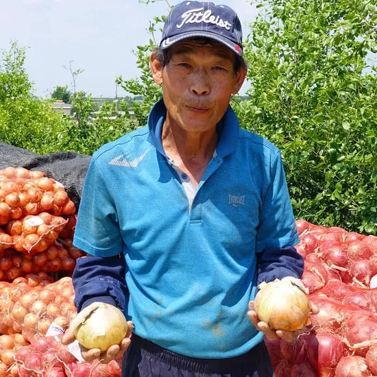 국내산 양파 5kg (소사이즈) 2,920원