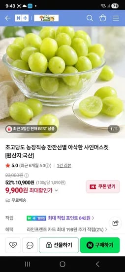 산지콕 샤인머스켓 초고당도 농장직송 1kg 9,900원