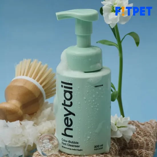 헤이테일 컬러버블 풋클렌저 강아지 발세정제 300ml
