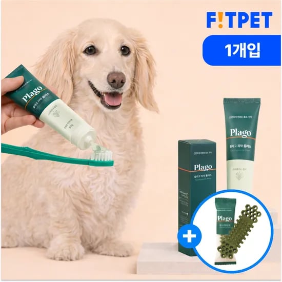 플라고 치약 강아지 고양이 입냄새 치석 제거 바르는 치약 80g, 1개