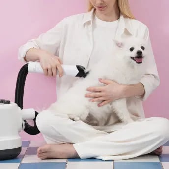 세븐펫 진공미용기+드라이기 2in1 강아지 고양이 이발 에어살롱 펫스타일러