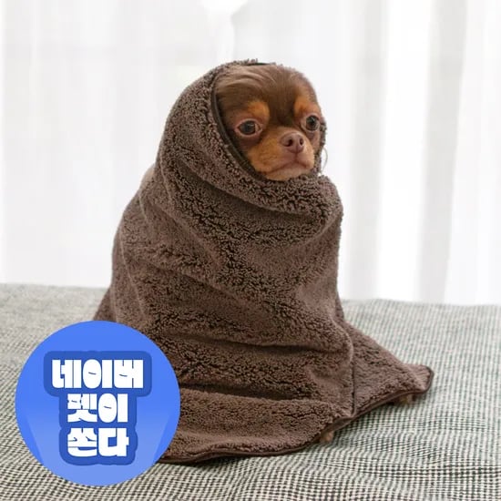 초코펫 강아지 타올 펫 목욕 수건 고양이 애견 시그니처 퀵 드라이 타올 일반형