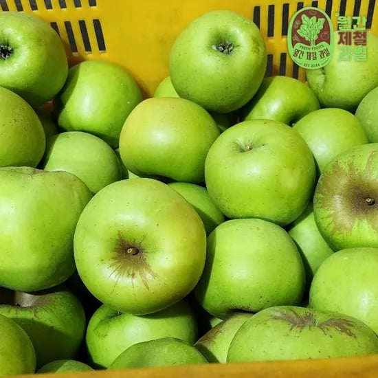 청사과 청송사과 유명한곳 문경 아오리사과 보조개 못난이 썸머킹사과 5kg