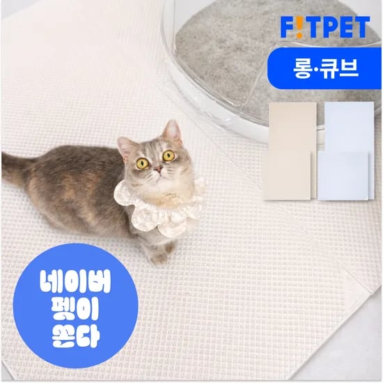 냥쌤 고양이 모래 매트 캐치 투명 사막화방지 화장실 발판 패드 대형