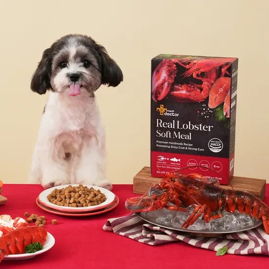 프리미엄 소프트 밀 수제사료 랍스터, 1kg, 1개