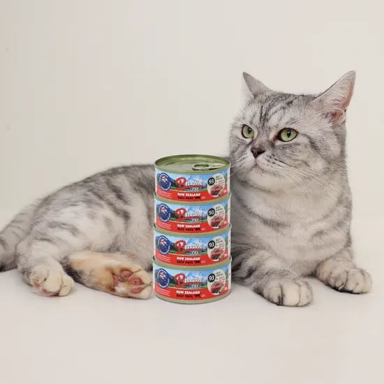 브리젠 뉴질랜드산 전연령 고양이 주식캔 습식사료 파테 비프, 80g, 4개
