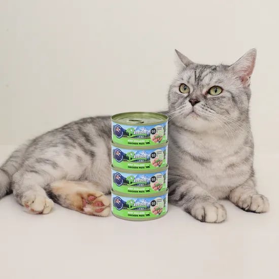 브리젠 뉴질랜드산 전연령 고양이 주식캔 습식사료 파테 치킨, 80g, 4개
