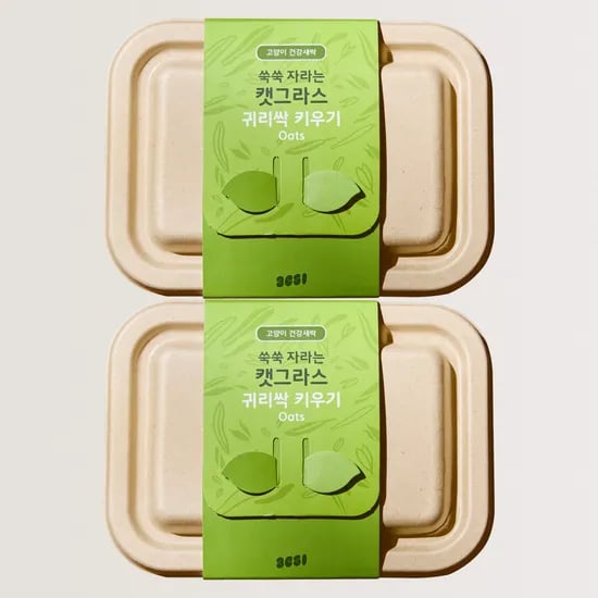 3651 쑥쑥 자라는 캣그라스 키우기 키트 재배세트 귀리싹, 160g, 2개