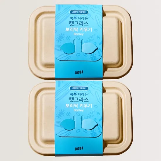 3651 쑥쑥 자라는 캣그라스 키우기 키트 재배세트 보리싹, 160g, 2개