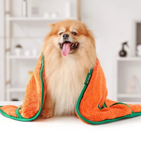 바비온 초극세사 수건 강아지 고양이 포켓 당근 펫타올 오렌지, S