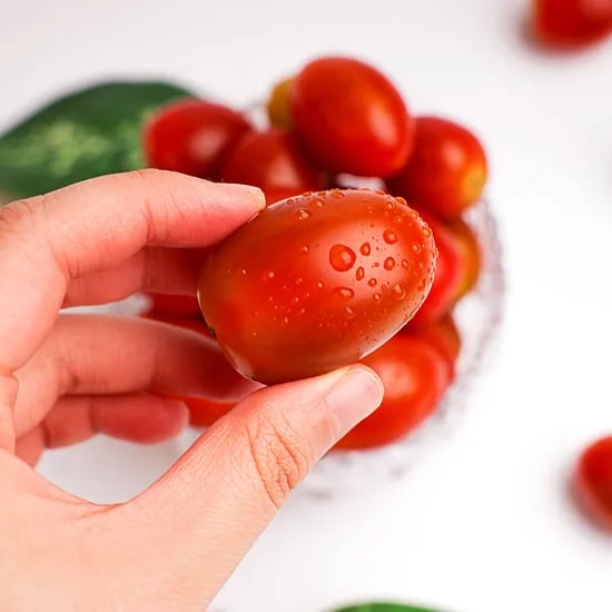 대추 방울토마토 스테비아 토마토 로얄과사이즈