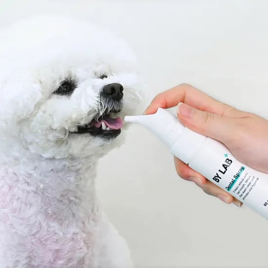 바이랩 덴탈 스프레이 강아지 구강 입냄새 치석 제거 뿌리는 치약 치아관리 60ml, 1개
