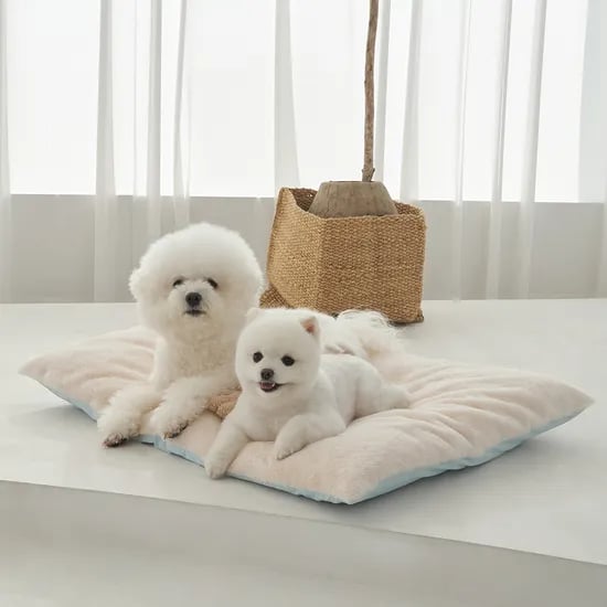 슈퍼펫 강아지 고양이 사계절 양면방석 쿠션 아이보리 S