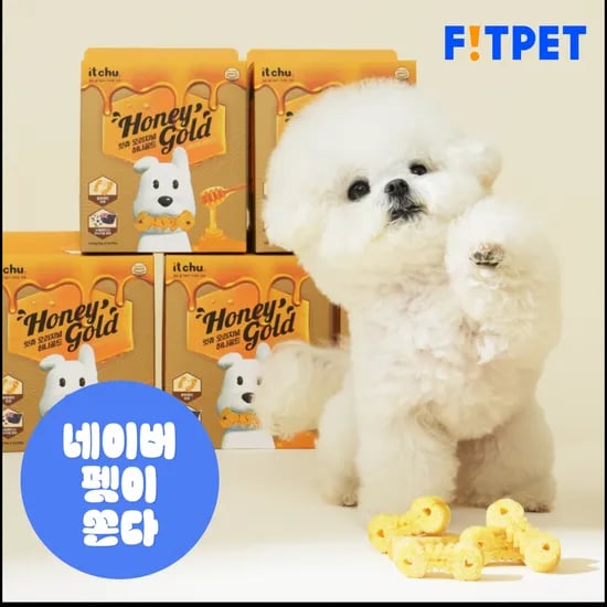 강아지 양치껌 허니골드 34P 덴탈껌 치석제거 소프트 잇츄 핏펫