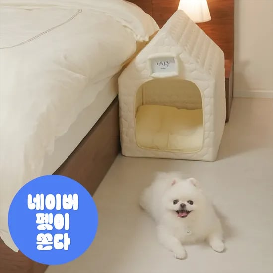 하븐 강아지집 하우스 고양이하우스 예쁜 숨숨집