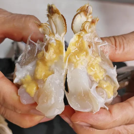 오늘신선 신선도 보장 태안 신진도 꽃게 산지직송 숫꽃게 1kg