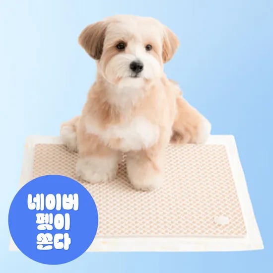 바잇미 강아지배변판 실리콘 강아지배변훈련 화장실 마킹 매트 애견