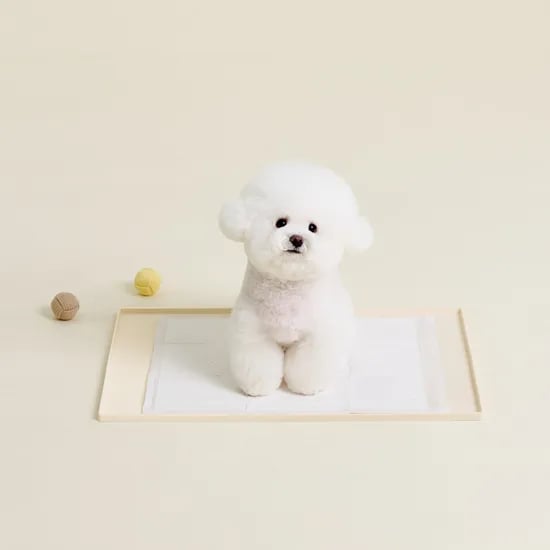 울리 도트 실리콘 배변매트 강아지 배변판 식기매트 60