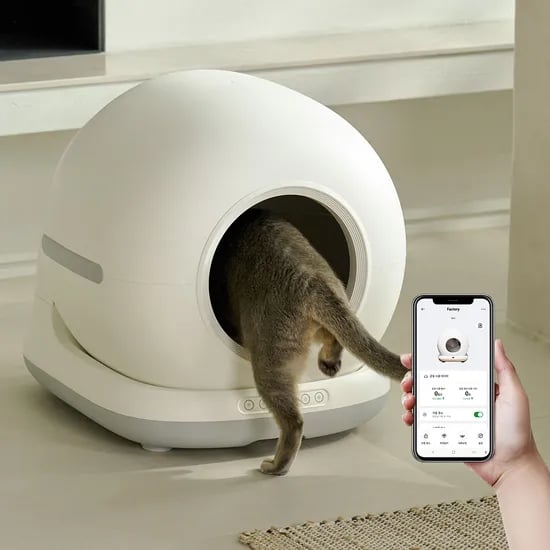 페페 고양이 IoT 스마트 자동 화장실 CT-100ca