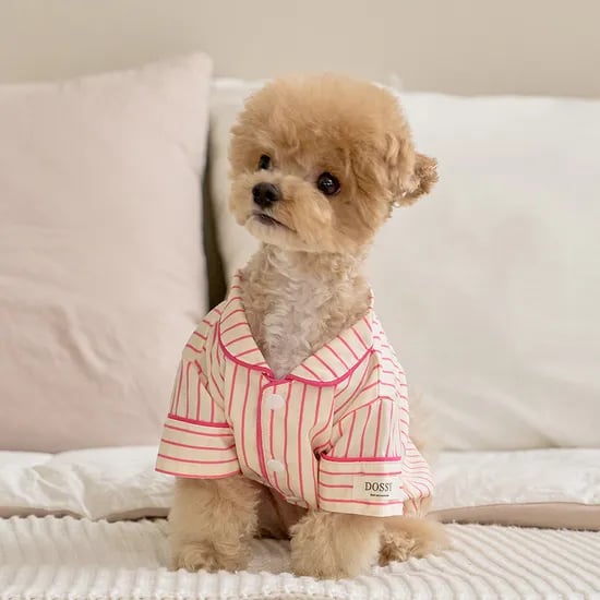 실크핏 러브썸 펫 잠옷 반려동물 강아지 고양이 파자마