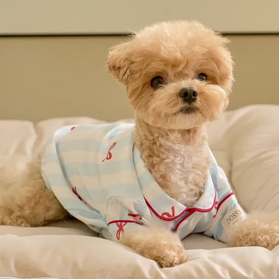 실크핏 보니 펫 잠옷 반려동물 강아지 고양이 파자마