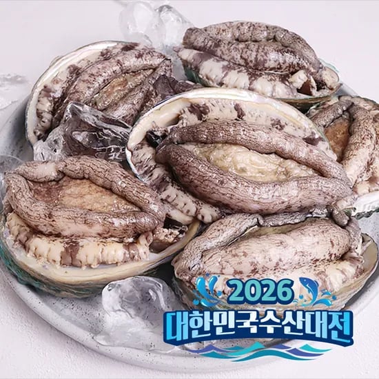 기삼전복 1kg 3미부터 40미 산지직송