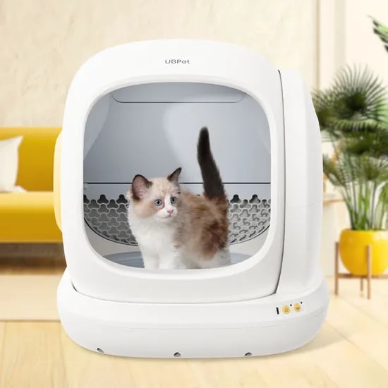 디클펫 고양이 자동 화장실 두잉