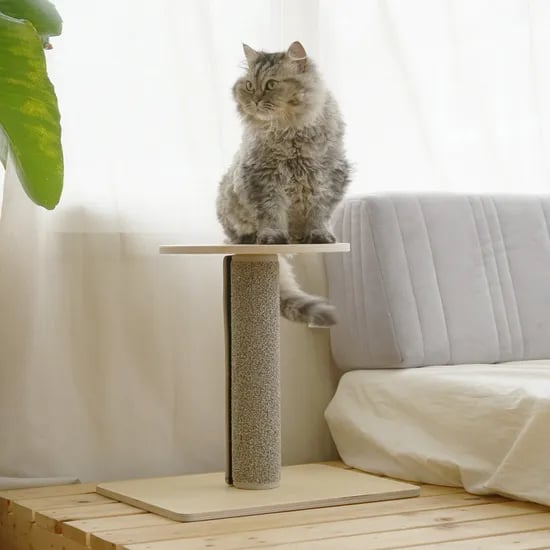 피타 고양이 스크래쳐 폴 1단