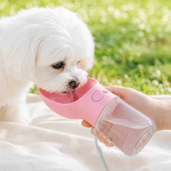 피비플러스 강아지물통 원터치 산책 애견물통 강아지물병 350ml