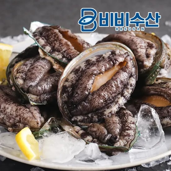 산지직송 살아있는 완도전복 활전복 1kg  산소포장 선물세트 손질 칼 포함