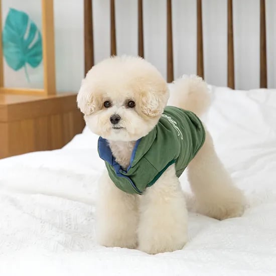 강아지패딩 겨울옷 패딩조끼 올인원