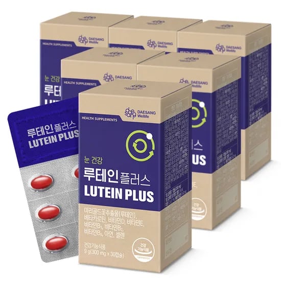 웰라이프 루테인 플러스 (300mg) 눈영양보충용제품 30캡슐, 6개
