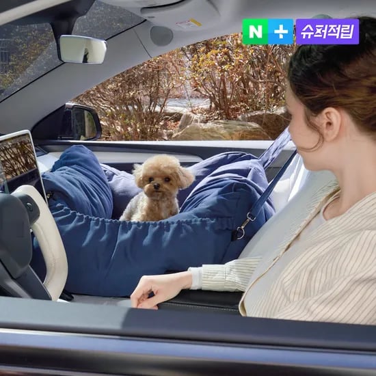 개과천선 루시 강아지 카시트 애견 반려견 대형견 중형견 애쉬블루