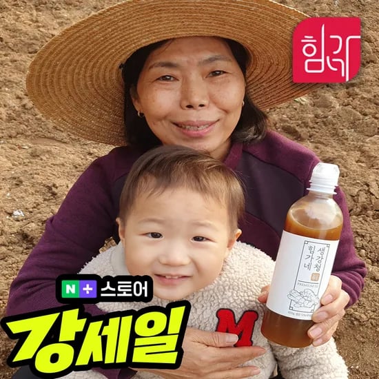 힘가네 생강청 생강차 수제 원액 600g