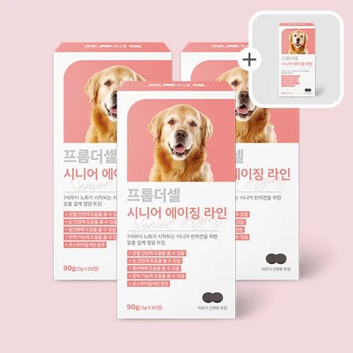 프롬더셀 강아지 노견전용 관절, 백내장, 피부, 항산화, 치매 종합영양제 3박스