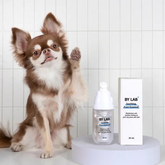 바이랩 강아지 발바닥 보습제 발사탕 발 건조 크림 수딩 풋 에센스, 20ml, 1개