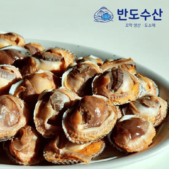 생산자 직판 제철 새꼬막 특대 1kg