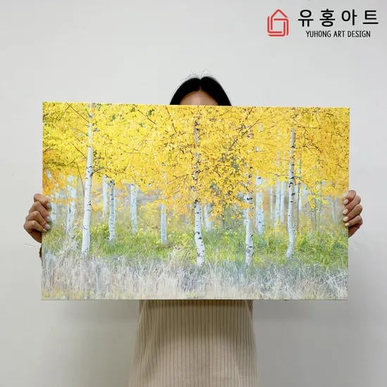 황금 자작나무 그림 와이드 캔버스 액자 6호