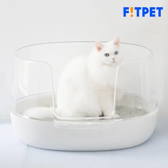 냥쌤 고양이 투명화장실 대형 다묘 오픈형 배변통 사막화방지