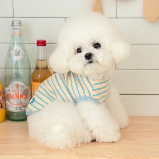 강아지여름옷 강아지옷 쿨링티 쿨티